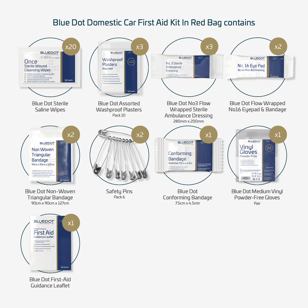 110231 Blue Dot First Aid Kit Domestic/Car In Red Series Bag (Each